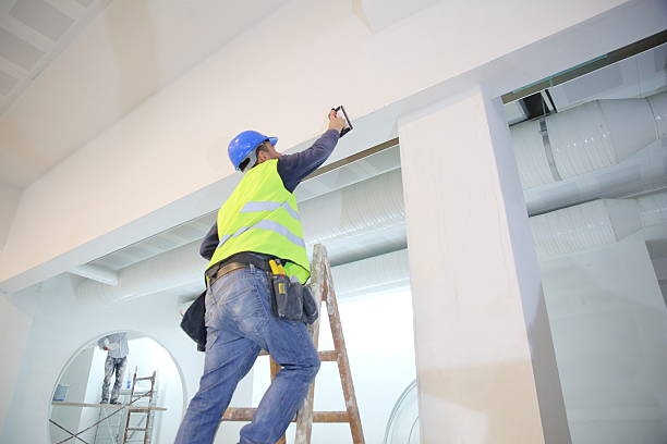 Best Basement Mold Removal  in Berthoud, CO
