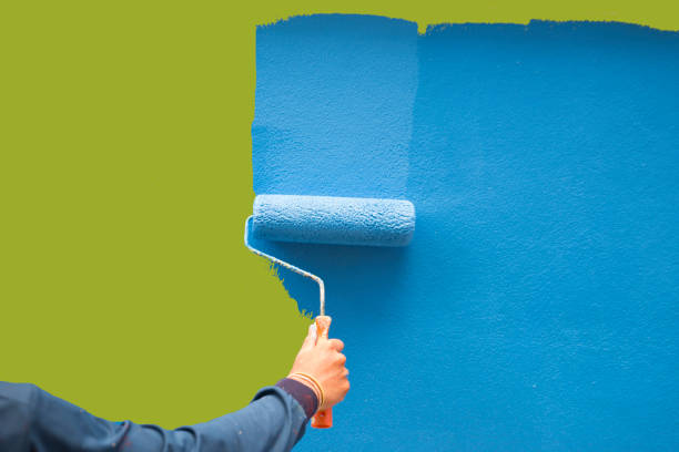 Reliable Berthoud, CO Mold Removal Solutions